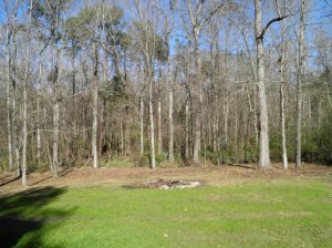 Showing 130 Dantzler Lane home frontage in Summerville SC