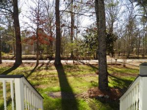 Displaying 130 Dantzler Lane land home package exterior