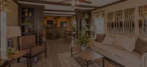 Showing mobile home living area slide in Charleston SC